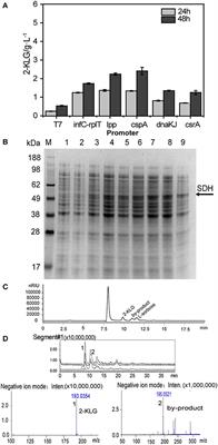 High Throughput Screening Platform for a FAD-Dependent L-Sorbose Dehydrogenase